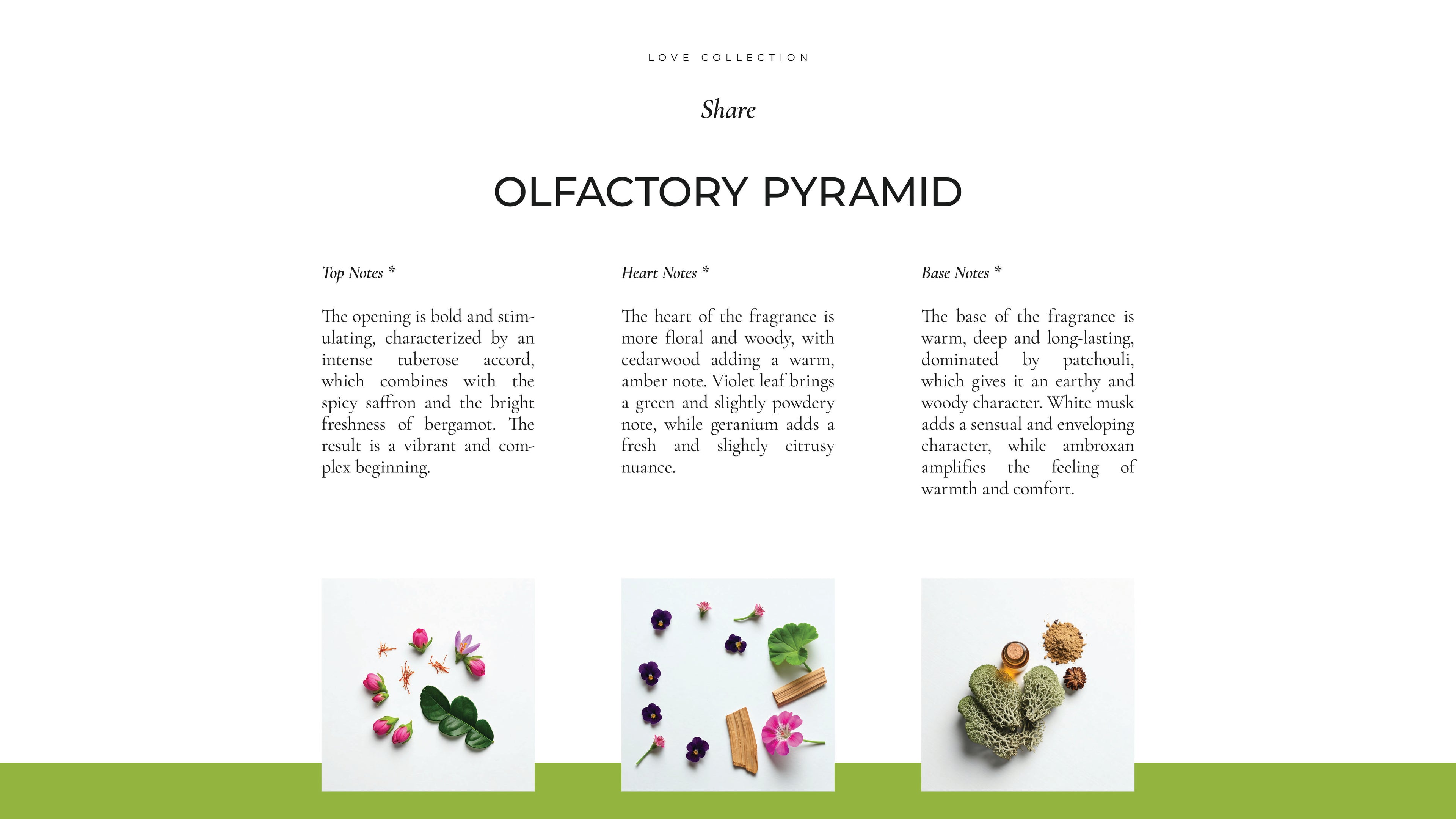 Zavyla Share profumo luxury made in Italy – fragranza complessa con accordi freschi, floreali, legnosi e muschiati, piramide olfattiva dettagliata