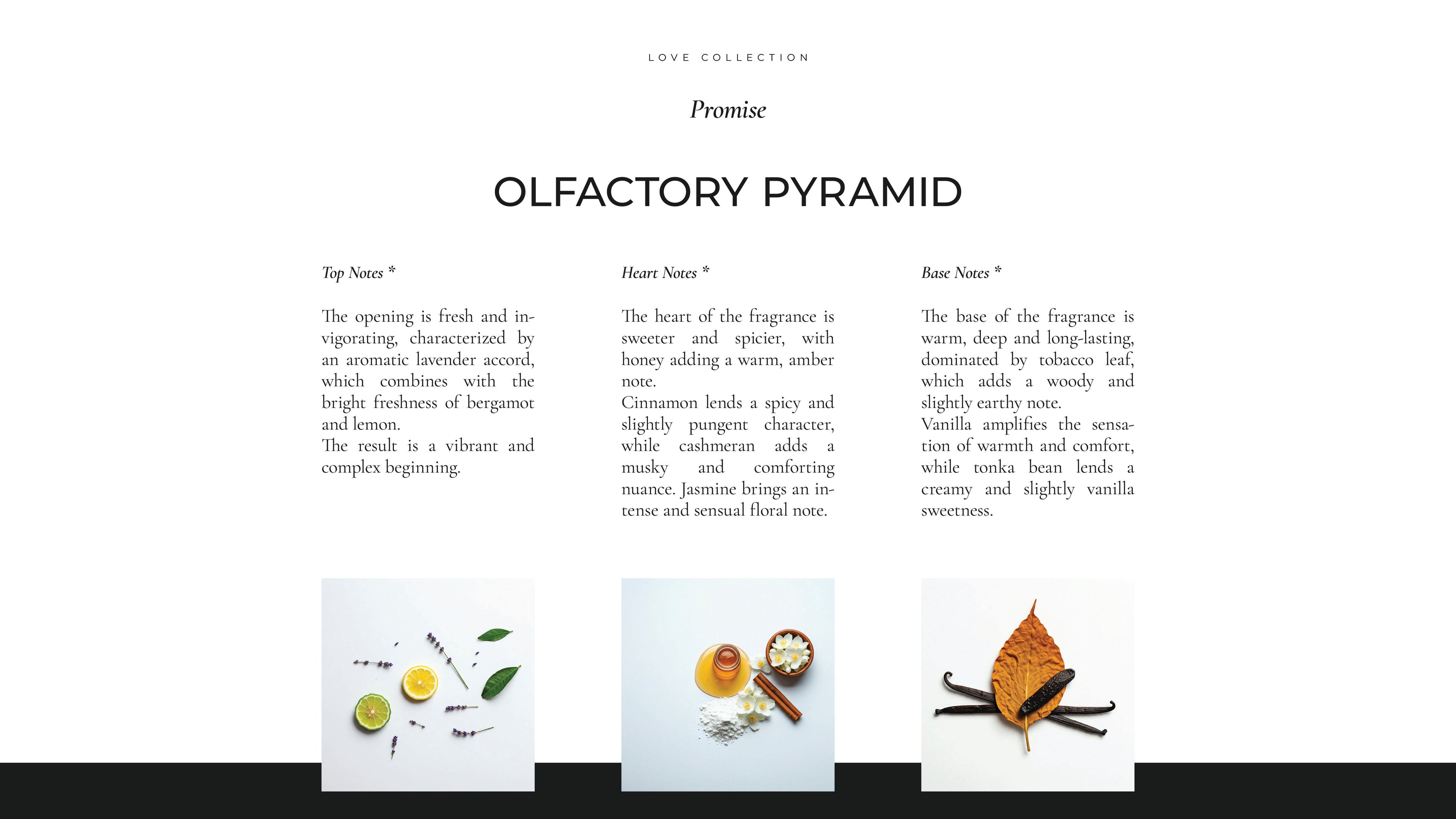 Zavyla Promise profumo luxury made in Italy – fragranza complessa con accordi freschi, speziati, floreali e caldi, piramide olfattiva dettagliata